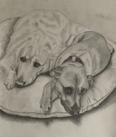 Blank Greeting Card - Rocky & Ella