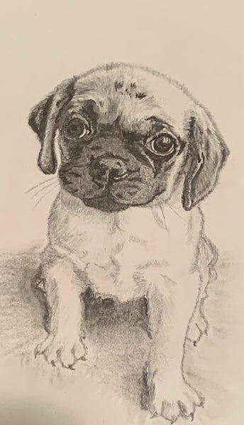 Blank Greeting Card - Charlie